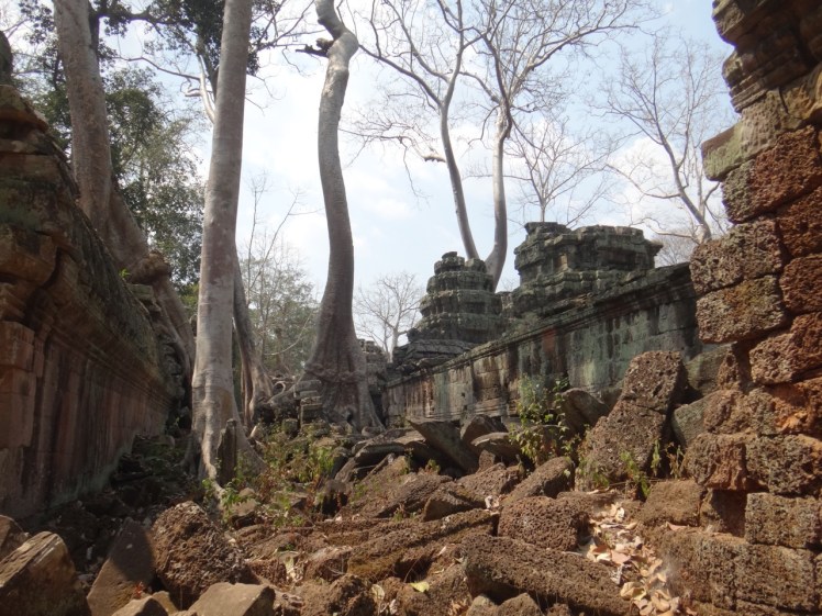 Ta Prohm 4