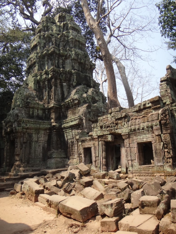 Ta Prohm 6