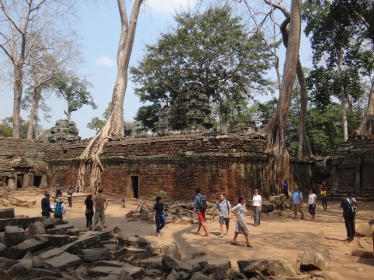 Ta Prohm 7