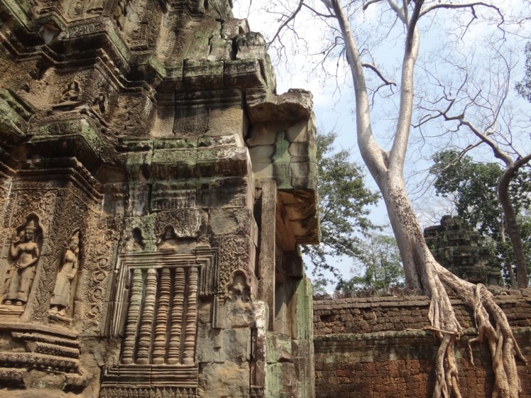 Ta Prohm 8