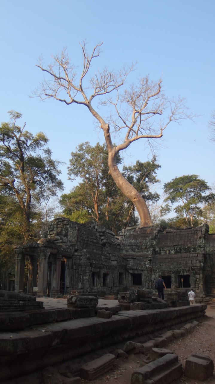 Ta Prohm Day 21