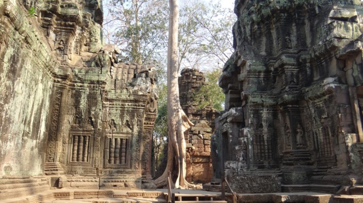 Ta Prohm Day 214