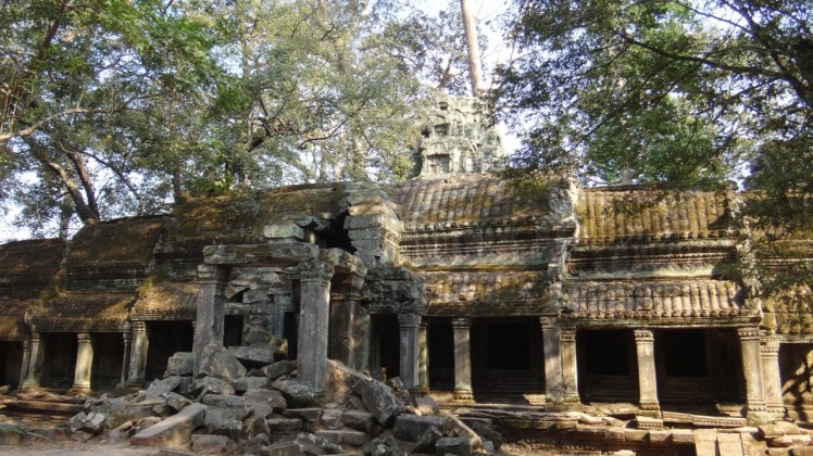 Ta Prohm Day 215