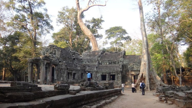 Ta Prohm Day 22