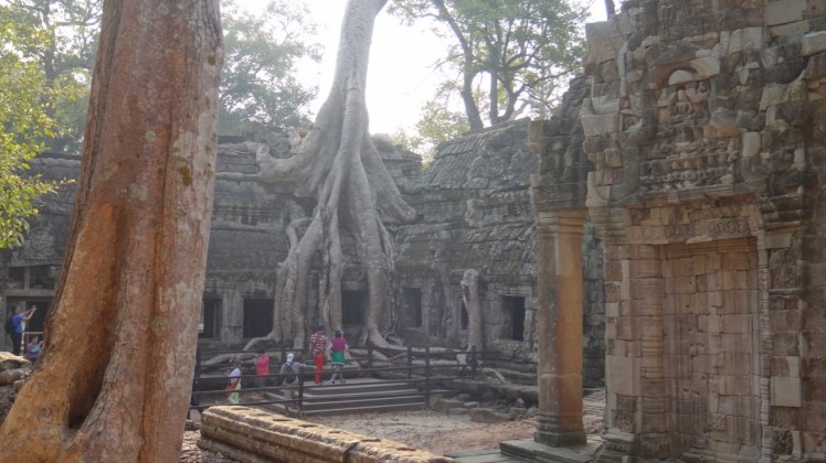 Ta Prohm Day 23