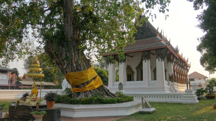 Thailand 2 Ayutthaya April 25-28 2016 -- 188