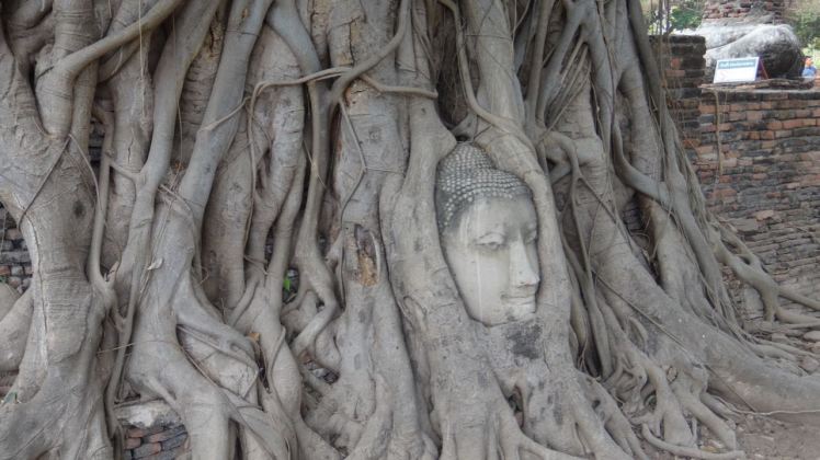 Thailand 2 Ayutthaya April 25-28 2016 -- 36
