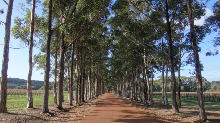 Australia Perth June 16-27 2016 - Margaret River - 10