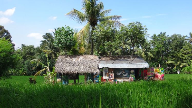Bali Rice Fields - 26