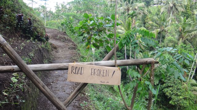indonesia-ubud-bali-starting-june-28-2016-1310